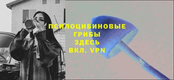 прущие грибы Балабаново