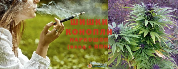 ПСИЛОЦИБИНОВЫЕ ГРИБЫ Баксан