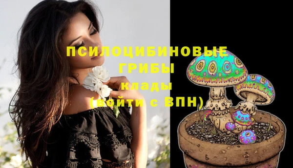 прущие грибы Балабаново