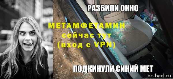 прущие грибы Балабаново