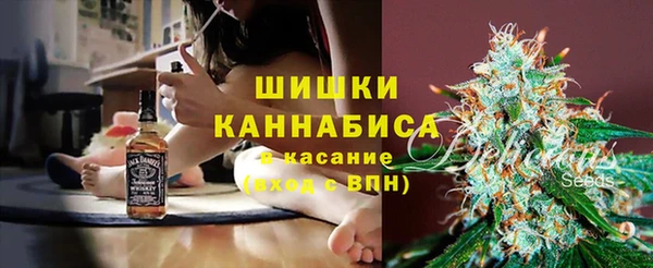 ПСИЛОЦИБИНОВЫЕ ГРИБЫ Баксан