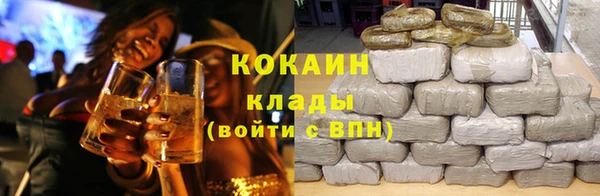 прущие грибы Балабаново